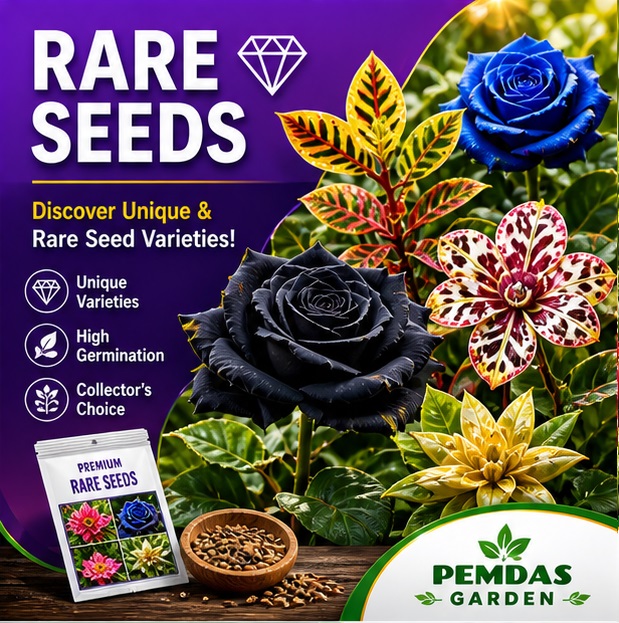 Rare Seeds