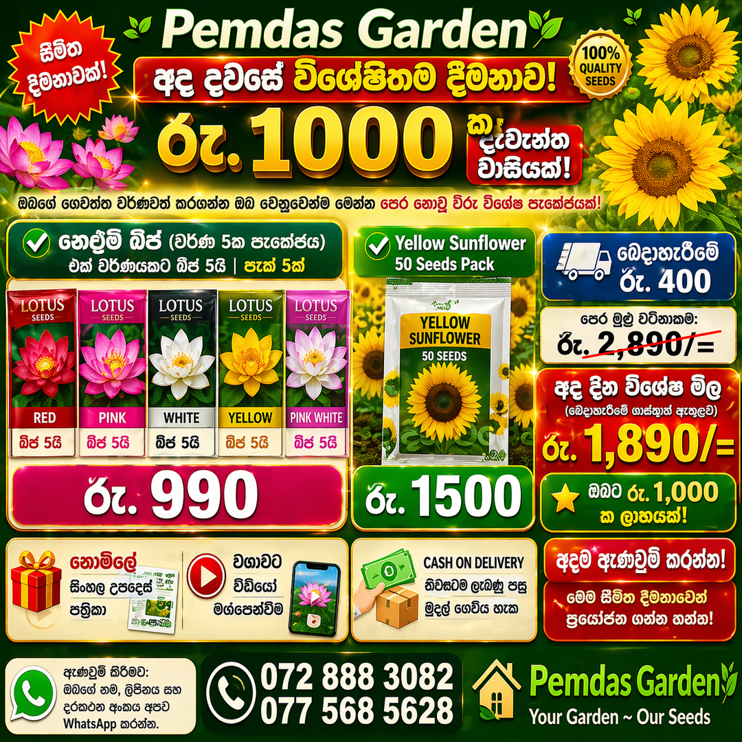 lotus & sunflower special combo 2 in 1 premium flower seeds pack (free delivery) lotus & sunflower special combo 2 in 1 premium flower seeds pack (free delivery)